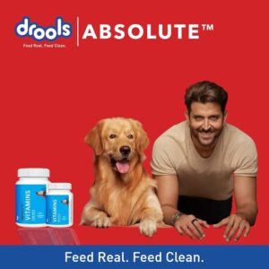 Absolute Dog Supplement Tablet
